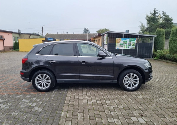 Audi Q5 cena 79900 przebieg: 174400, rok produkcji 2014 z Paczków małe 211